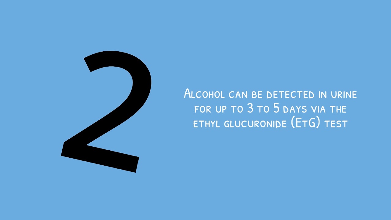 ⁣How Long Does Alcohol Stay in the System? | 1000 Island Addiction Rehab