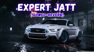 Expert Jatt {Slowed + Reverb} - Nawab | Mista Baaz |