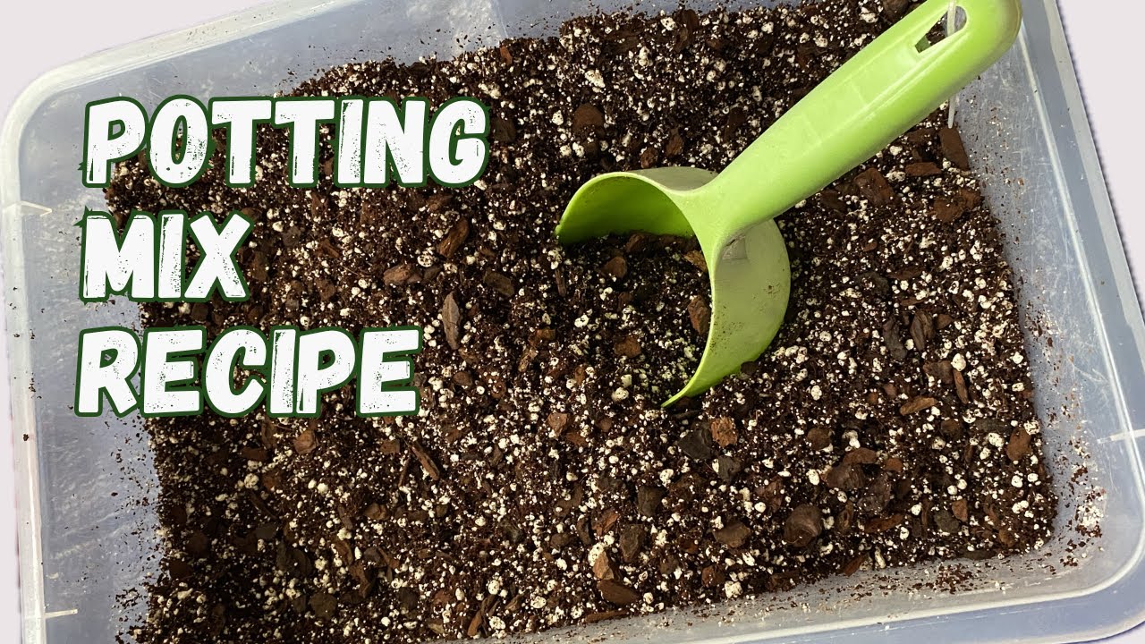 HOW TO MAKE Soilless Potting Mix For Indoor Plants - YouTube