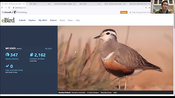 Intro to eBird – Part 4 – Final Tips and the Science Behind It - Backyard Naturalist Lecture Series