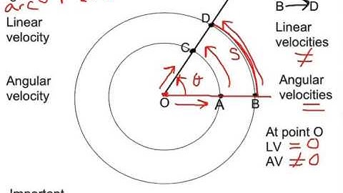 Intro to Linear & Angular Velocity