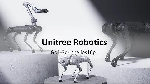 Go1-3d-rshelios16p-operation