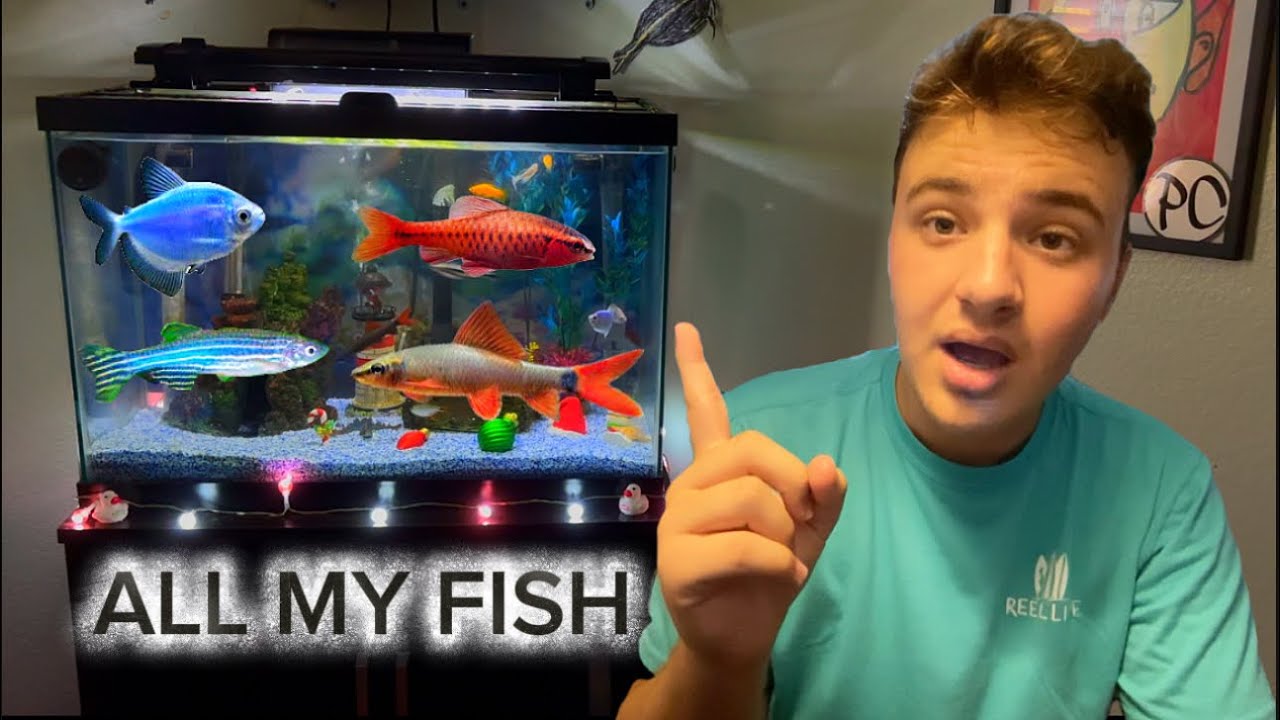 Welcome Back!! Showing ALL My Fish Pt. 11 - YouTube
