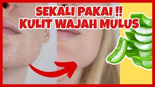 5 Cara Mengatasi Kulit Kering Secara Alami Dan Cepat 5 Cara Mengatasi Kulit Kering Secara Alami Dan Cepat