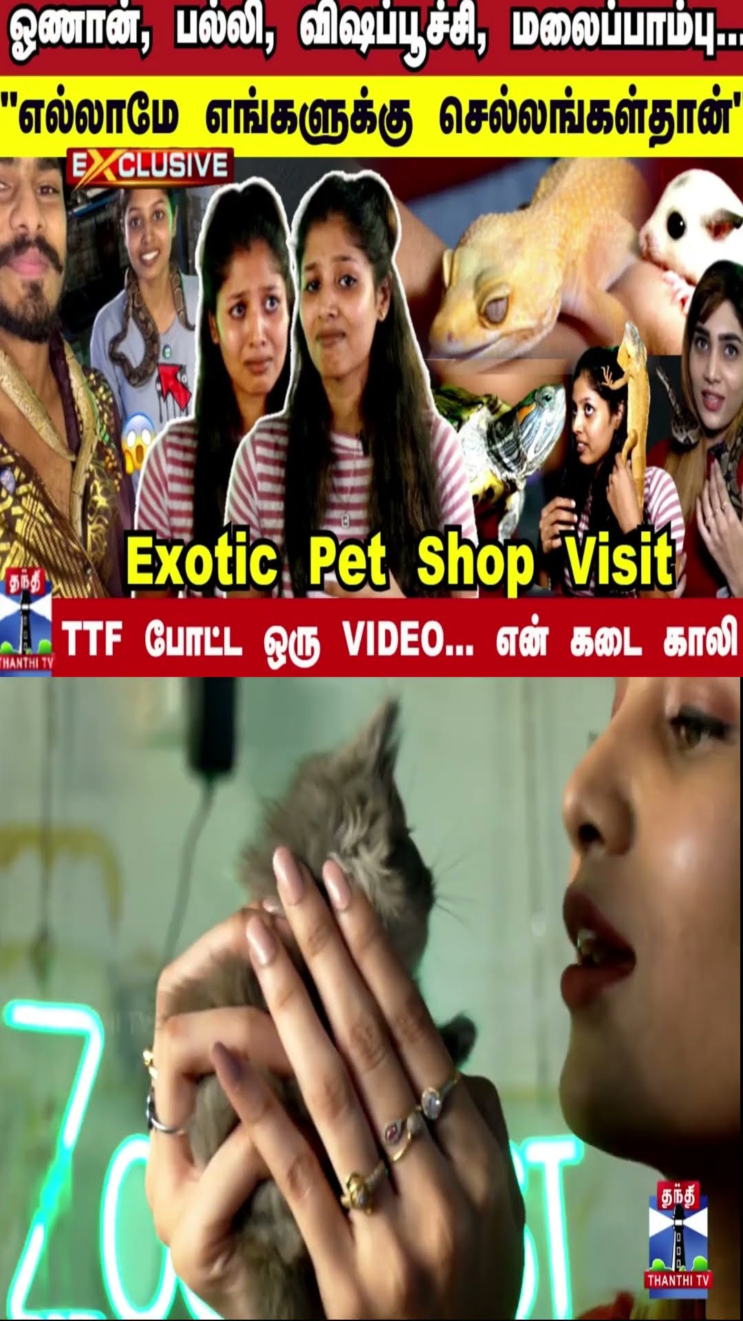 TTF Vasan போட்ட ஒரு VIDEO... என் கடை காலி | Exotic Pet Animals | PYTHON \u0026 HAMSTER \u0026 SUGAR GLIDER