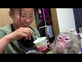 お猿たちの１日～ミソカリの可愛い日々～