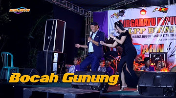 Bocah Gunung (Skop - Skop) Viral TikTok | KMB Gedrug Sragen | Deny-R Audio | Wijaya Multimedia