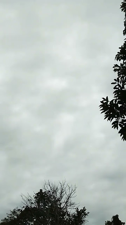 akibat sering teler #story #storywa #ceramahlucu #religion #quotes #motivasi