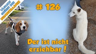 TGH 126 Nicht erziehbare Hunde - Hundeschule Stadtfelle