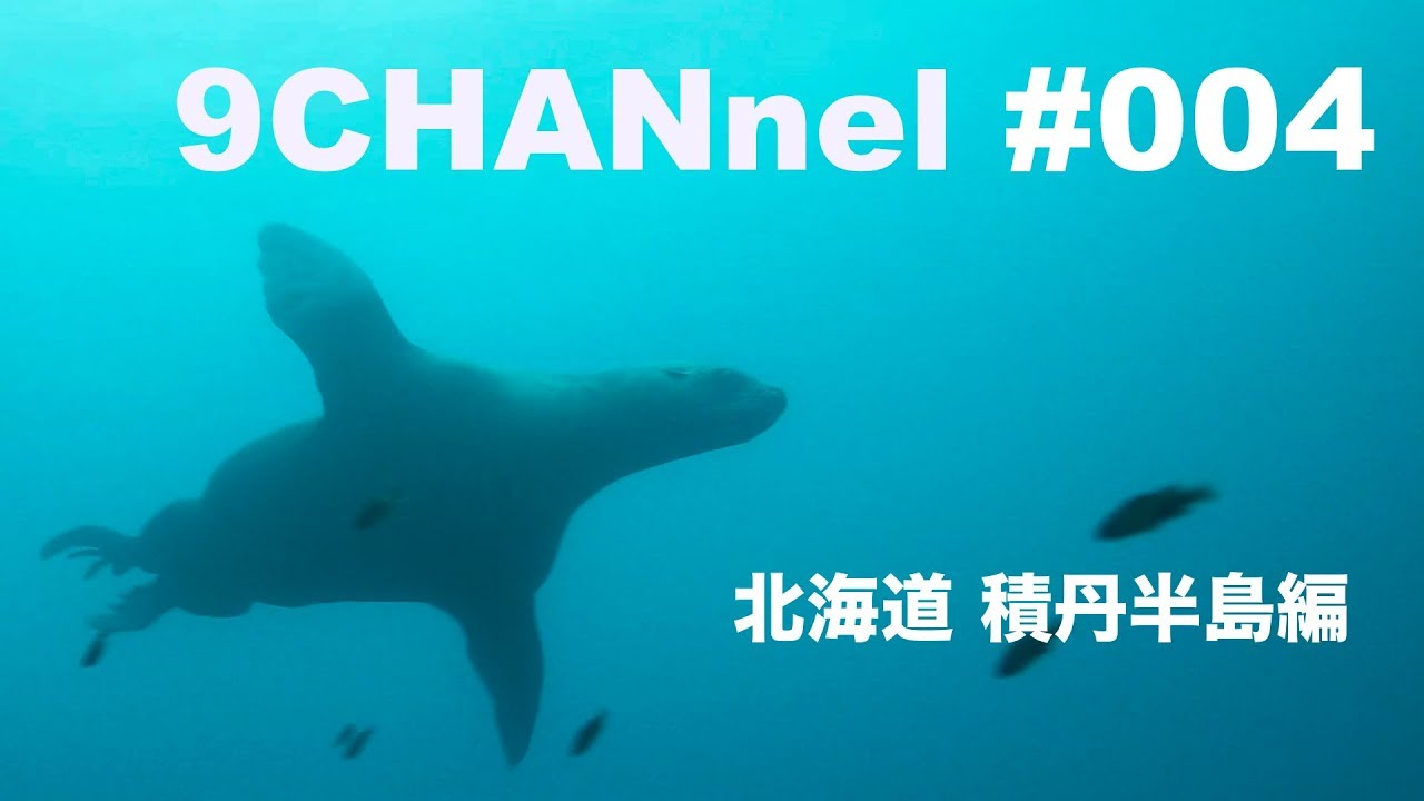9CHANnel #004 北海道 積丹半島＆海獣編/Hokkaido Shakotan Peninsula. 【スキューバダイビング番組】