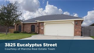 3825 Eucalyptus Street Corpus Christi TX 78414 Roland Marcha Homes for Sale