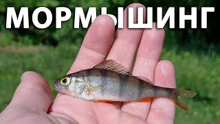 Ловля окуня на мормышку. Осваиваю мормышинг. Рыбалка на спиннинг в Подмосковье летом.