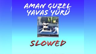 Aman Güzel Yavaş Yürü - Halodayı (feat. Azer Bülbül) | Slowed & Reverb