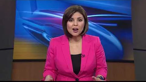 Farewell to Letty Garza: Dina Herrera-Garza