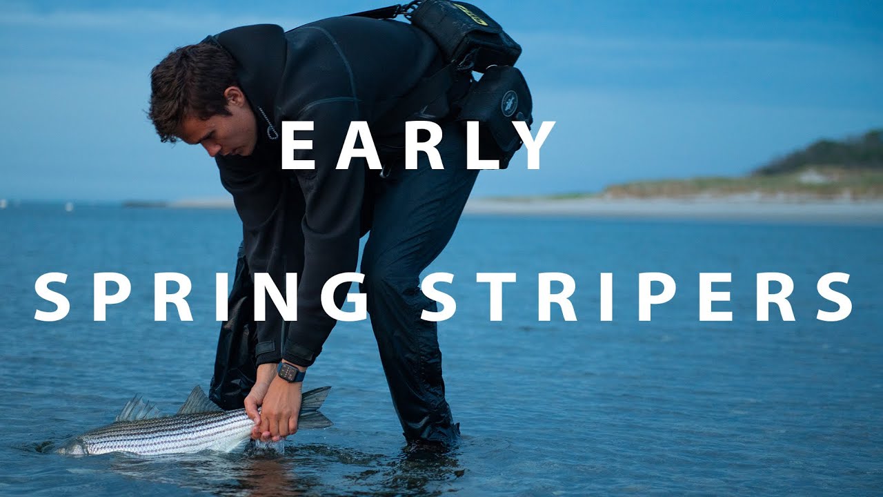 Catch Early Spring Stripers Like a Pro - Beginner Guide 