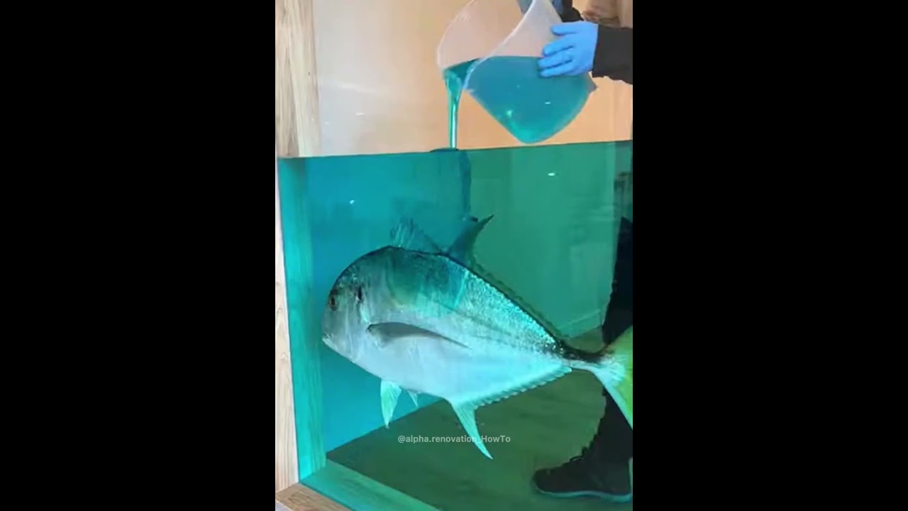 Идеи для хранения гигантских рыб огромных размеров с помощью смолы.