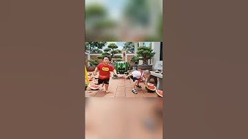 Capybara và robot dưa hấu #funny #capybara #trending #cartoon