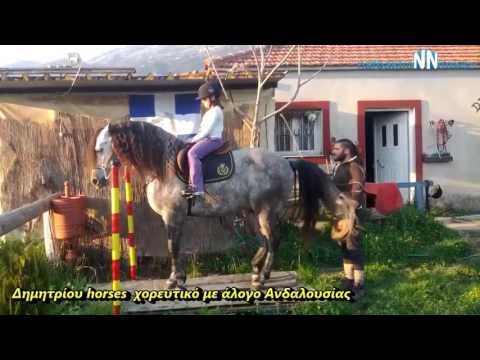 Βίντεο: Σύνδεση αρμών σε άλογα