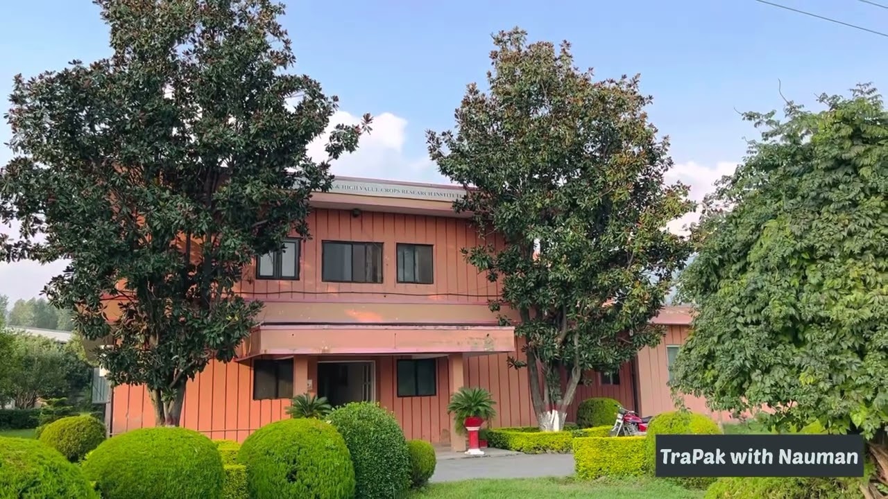 A short visit to Tea Garden-Shinkiari, District Mansehra   