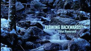 Reverse Winter Stream ❄️⏪ Hypnotic Flow of Snowy Forest Water | Relaxing Nature Visuals 4K
