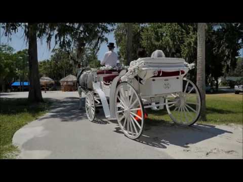 DaveAnn Wedding - Horse & Carriage Ride