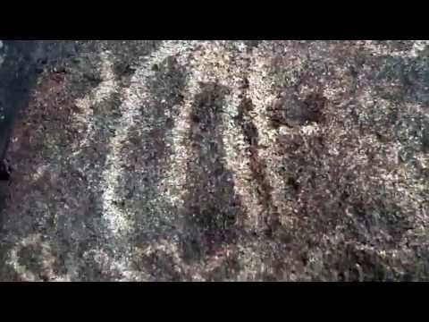 Petroglyphs at Celebration Park in Canyon County, ID.