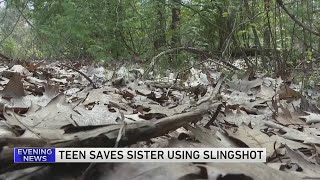 Michigan boy uses slingshot to save sister from abduction, police say