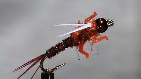 Fly Tying a LivelyLegz Rusty Pheasant Tail Prince with Jim Misiura