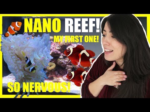 NEW NANO Saltwater Aquarium | Setting Up My Reef Tank