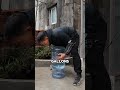Genius DIY Automatic Chicken Feeder Made from Recycled Water Gallons!