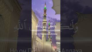 Красивое чтение Корана l Абу Муавия