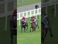 #OnThisDay in 2015 DODGING BULLETS won the Clarence House Chase | #horseracing #Frankiedettori