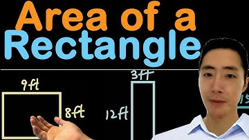 Area of a Rectangle Explained | Your 24-7 Math Tutor