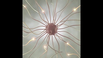 Scientists Have Created Biological Computers Inside Living Cells