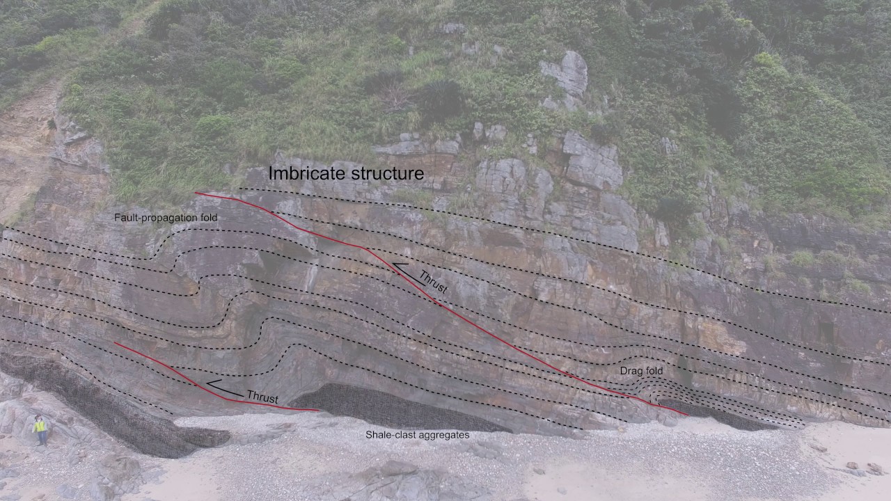 New Folds and thrusts in the Kayo Formation, Okinawa Island