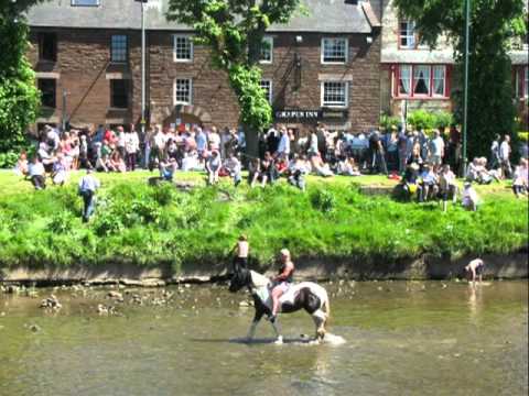 APPLEBY FAIR 2011