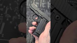 P238 sig .380 auto (Amazon link in the description)