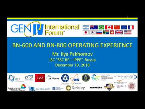 Webinar 024: BN-600 and BN-800 Operating Experience