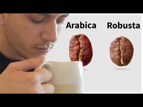 Video: Perché l'arabica è più costosa della robusta?