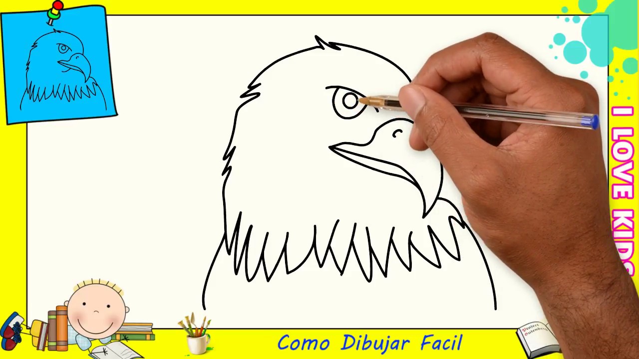 Como dibujar un aguila FACIL paso a paso para niños y principiantes 6 -  YouTube