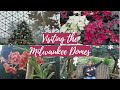 Visiting the Milwaukee Domes | Christmas Vlog