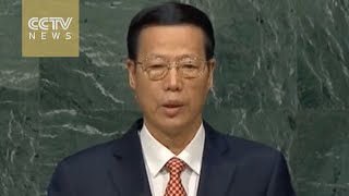 Chinese Vice-Premier delivers speech at UN Paris climate deal signing ceremony