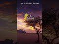 ياوجودي ناصر البقمي 