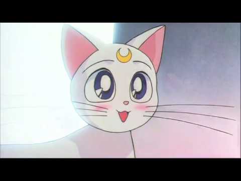 (DIC/PIONEER) Sailor Moon Hearts in Ice: Ending - Artemis Soulmate [R2]