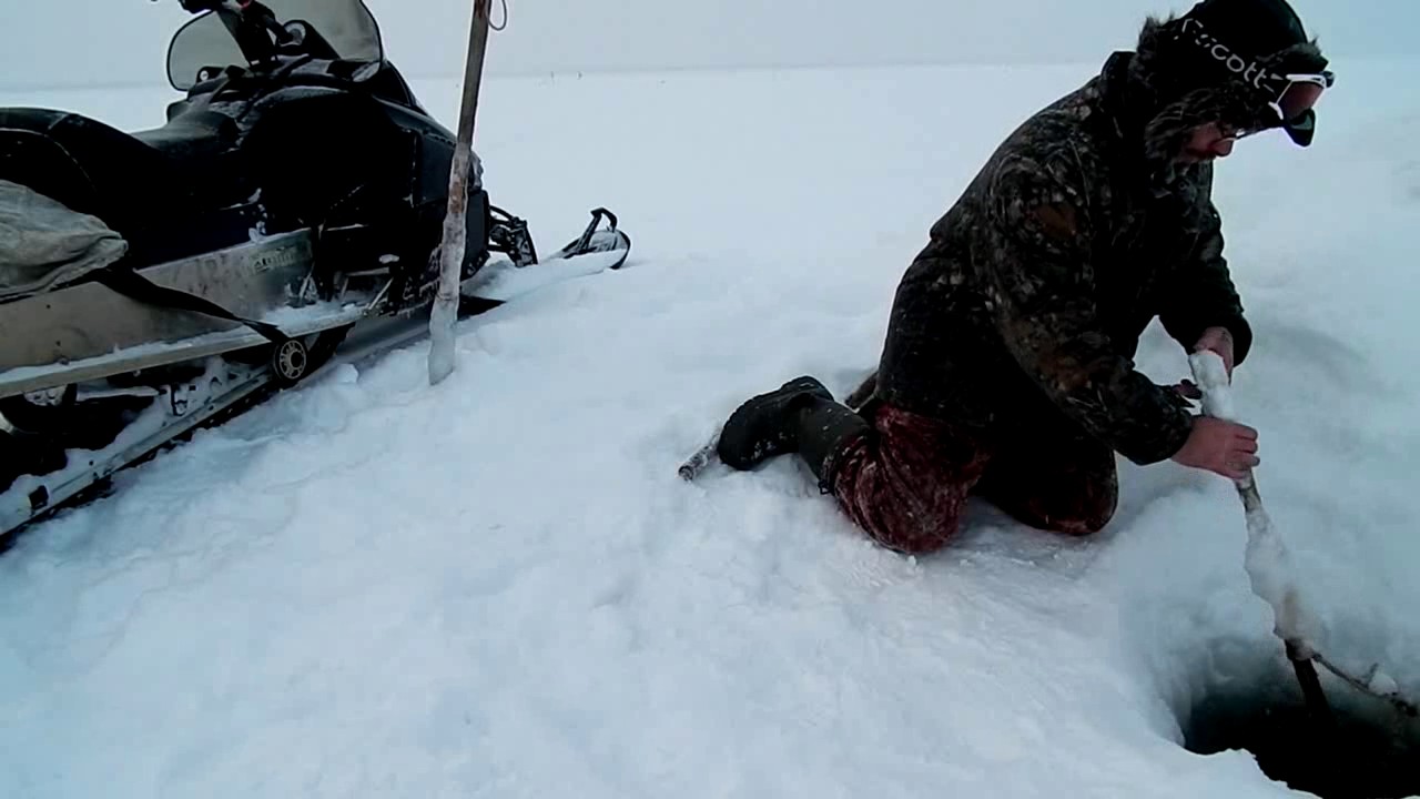 Рыбалка отличный улов(02.02.2017)