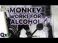 Railway Employs Baboon | Tales From the Bottle