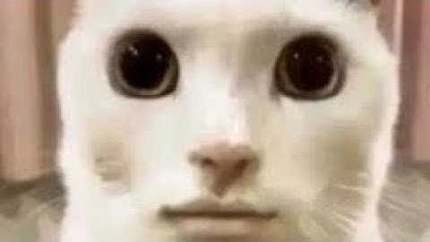 Tower Of Hell Teleport Gui Script Pastebin