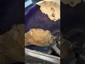 Wood piece in to beautiful cup #reels #woodworking #shortvideo #trendingshorts #ytshort