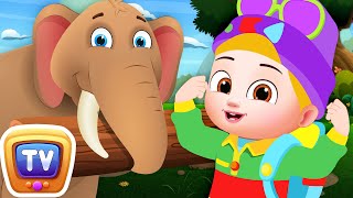 Baby Taku's World - Strongest Animals Song - ChuChu TV Sing-along Nursery Rhymes