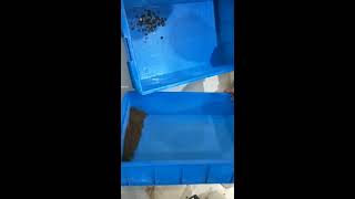 X ray sorter Рентгеновский сортировщик